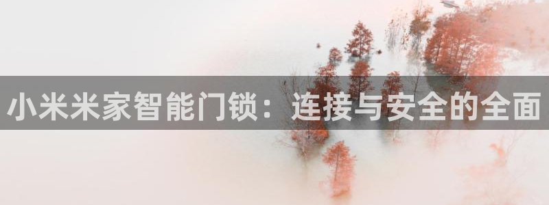 富联娱乐主管研判官333OO：小米米家智能门锁：连接与安全的