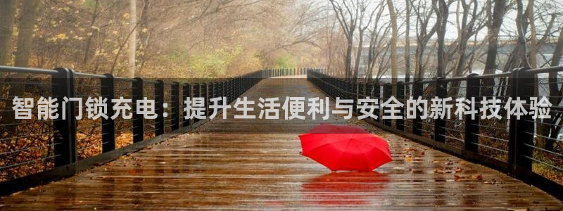 富联娱乐下载官网app：智能门锁充电：提升生活便利与安全的新