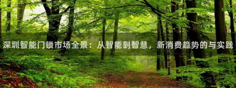 富联娱乐女团排名多少名：深圳智能门锁市场全景：从智能到智慧，