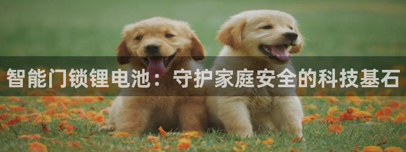 台湾富联娱乐：智能门锁锂电池：守护家庭安全的科技基石