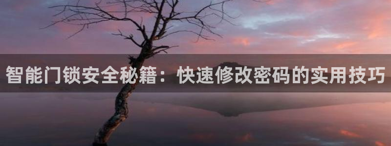 富联娱乐首页登录不上：智能门锁安全秘籍：快速修改密码的实用技
