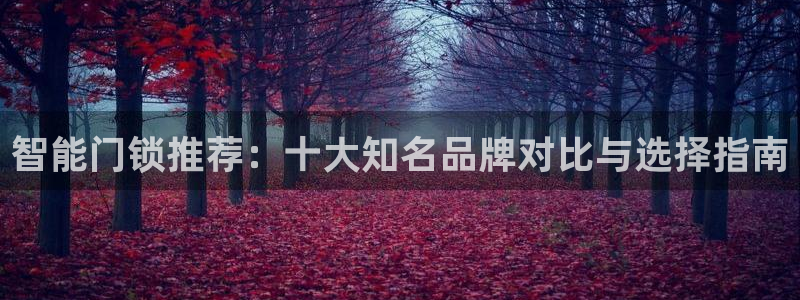 富联娱乐app下载安装：智能门锁推荐：十大知名品牌对比与选择