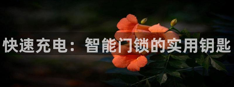 富联娱乐主管77903：快速充电：智能门锁的实用钥匙