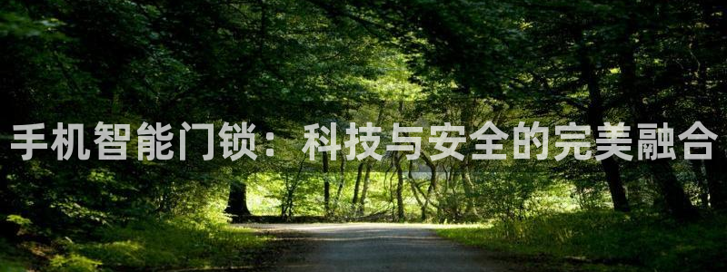 富联娱乐官方网站：手机智能门锁：科技与安全的完美融合