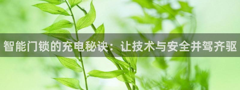 富联娱乐招商鱼判官333OO：智能门锁的充电秘诀：让技术与安