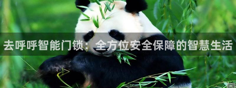 富联2娱乐注册地址查询：去呼呼智能门锁：全方位安全保障的智慧