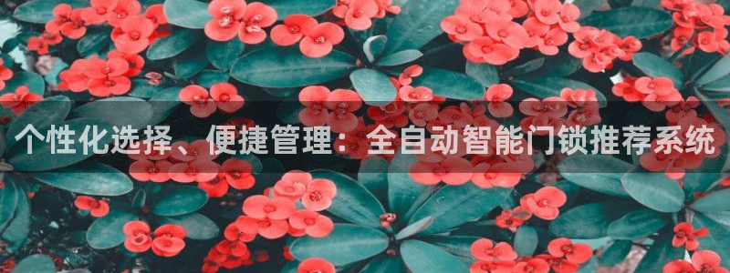 富联娱乐开户流程图解：个性化选择、便捷管理：全自动智能门锁推