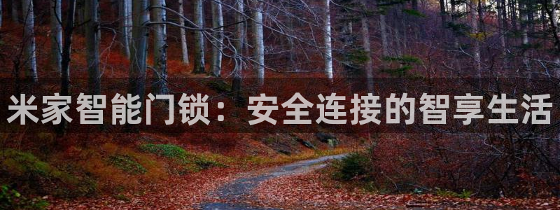 富联娱乐主管料判官333OO：米家智能门锁：安全连接的智享生