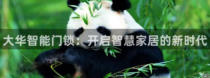 富联娱乐平台是什么：大华智能门锁：开启智慧家居的新时代