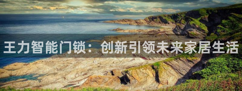 富联2娱乐注册地址查询：王力智能门锁：创新引领未来家居生活