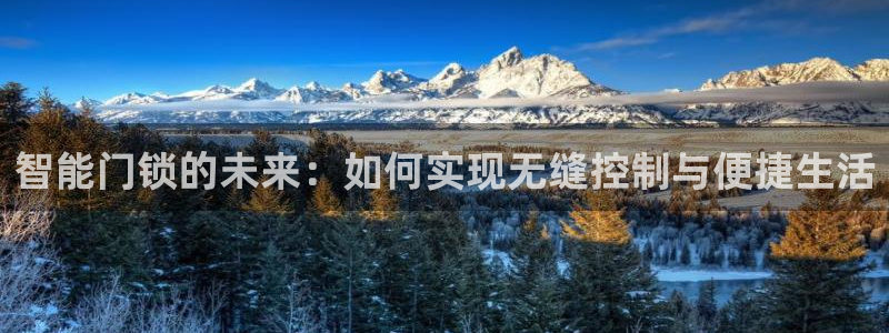 富联娱乐客户端下载安装：智能门锁的未来：如何实现无缝控制与便