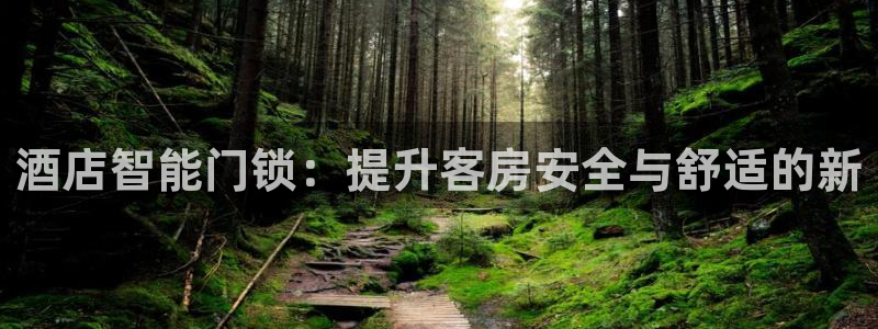 富联娱乐女团有哪些人：酒店智能门锁：提升客房安全与舒适的新