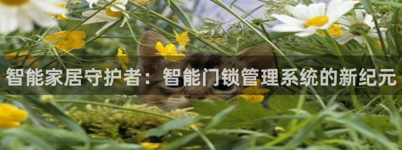 富联2娱乐元哥微博号：智能家居守护者：智能门锁管理系统的新纪