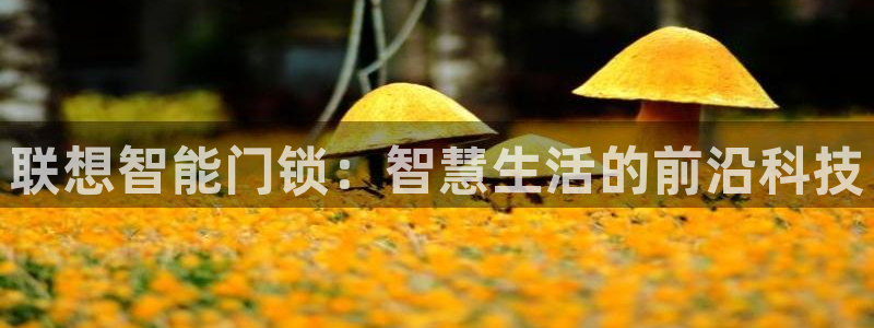 富联娱乐官网首页登录：联想智能门锁：智慧生活的前沿科技