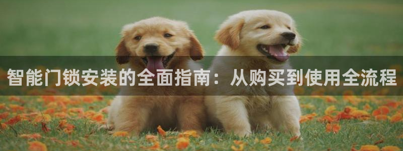 富联娱乐总裁简介：智能门锁安装的全面指南：从购买到使用全流程