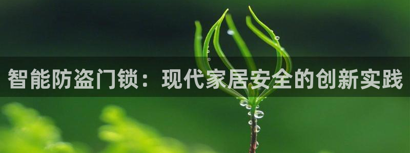 富联娱乐测速app：智能防盗门锁：现代家居安全的创新实践