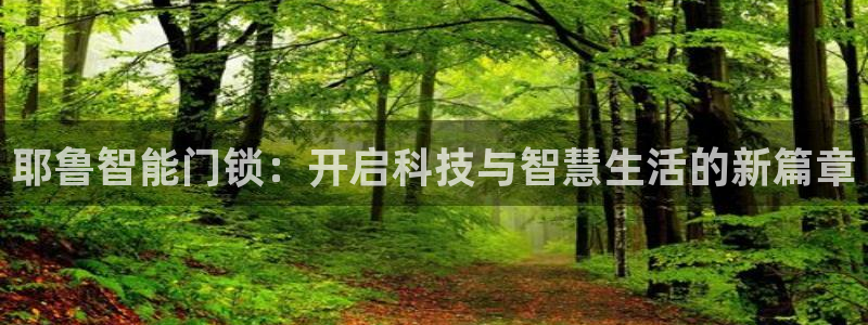 富联娱乐是正规平台吗吗：耶鲁智能门锁：开启科技与智慧生活的新