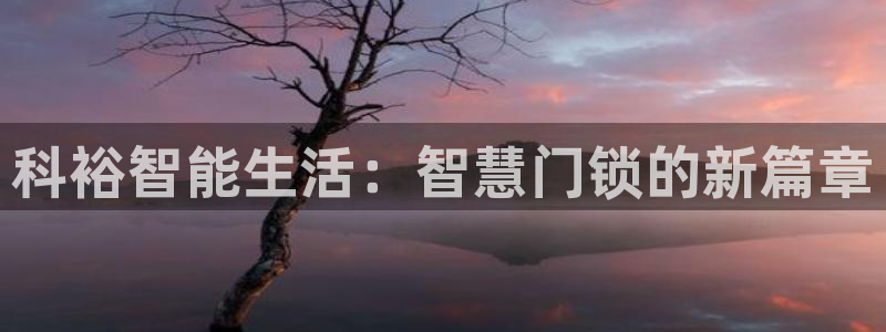 富联娱乐女团排名多少位：科裕智能生活：智慧门锁的新篇章