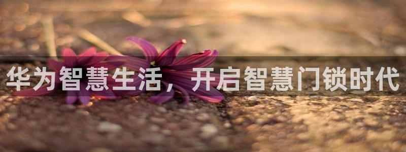 富联娱乐万六七五一38：华为智慧生活，开启智慧门锁时代