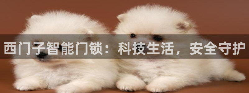 富联娱乐在线网站首页：西门子智能门锁：科技生活，安全守护