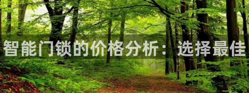 富联娱乐怎么样：智能门锁的价格分析：选择最佳