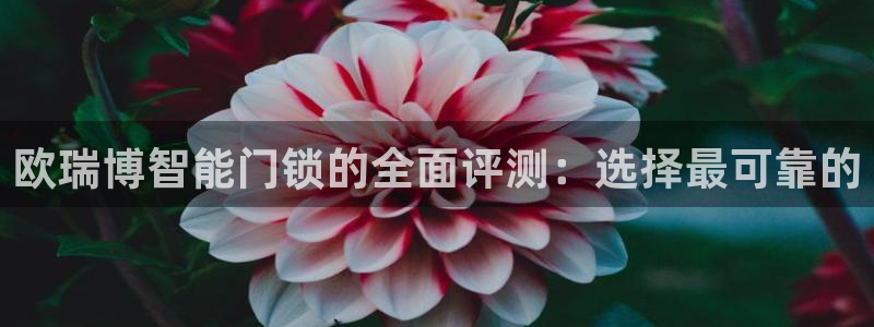 富联娱乐app官方下载最新版：欧瑞博智能门锁的全面评测：选择