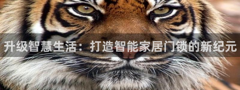 富联娱乐官网下载安装：升级智慧生活：打造智能家居门锁的新纪元