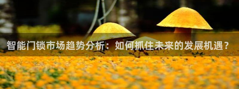 富联娱乐招商社判官333OO：智能门锁市场趋势分析：如何抓住