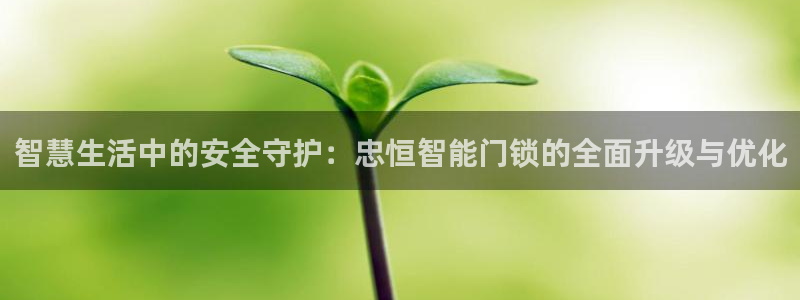 富联娱乐平台下载安装：智慧生活中的安全守护：忠恒智能门锁的全