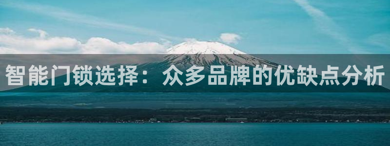 富联娱乐主管右原判官333OO：智能门锁选择：众多品牌的优缺