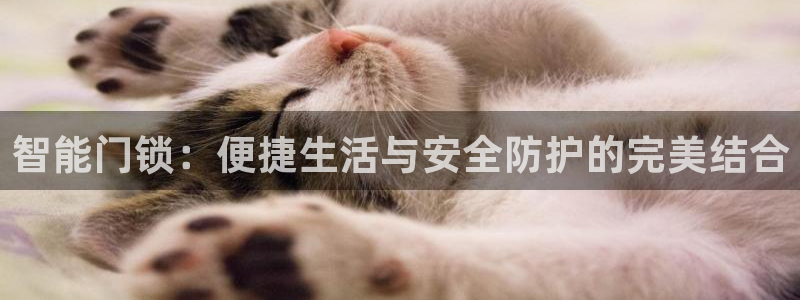 富联娱乐代理怎么样了：智能门锁：便捷生活与安全防护的完美结合