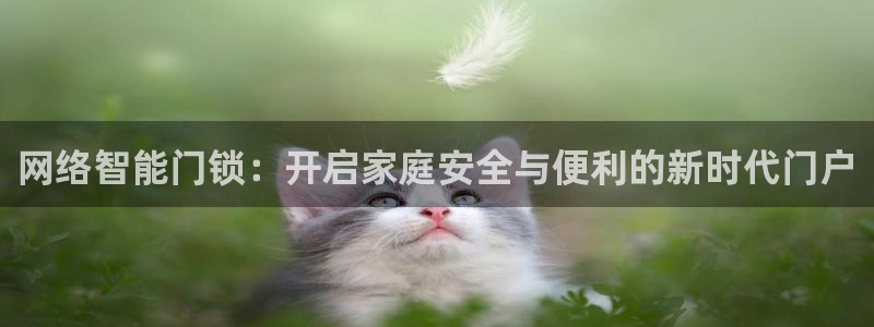 富联娱乐官网下载手机版：网络智能门锁：开启家庭安全与便利的新
