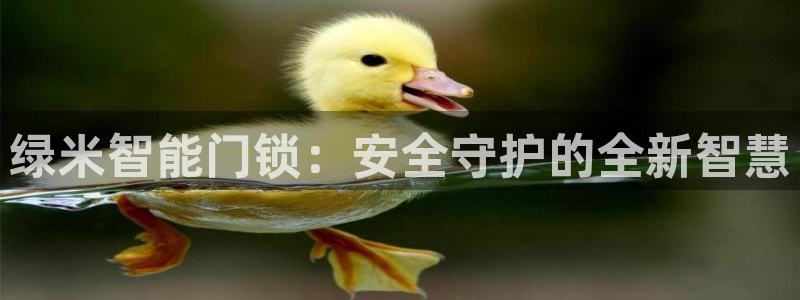 富联娱乐主营业务：绿米智能门锁：安全守护的全新智慧