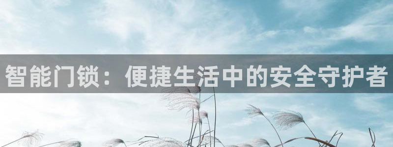 富联娱乐官网：智能门锁：便捷生活中的安全守护者