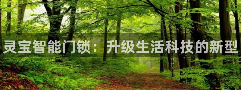 富联娱乐app官方下载：灵宝智能门锁：升级生活科技的新型