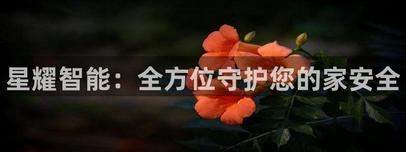 富联娱乐官网首页下载：星耀智能：全方位守护您的家安全