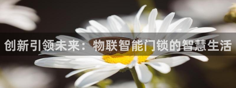 富联娱乐平台注册条件：创新引领未来：物联智能门锁的智慧生活
