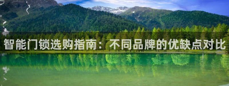 富联娱乐登录网址是什么：智能门锁选购指南：不同品牌的优缺点对