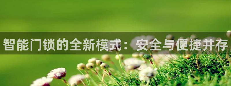 富联娱乐是真的吗：智能门锁的全新模式：安全与便捷并存