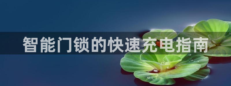 富联娱乐登录地址查询：智能门锁的快速充电指南