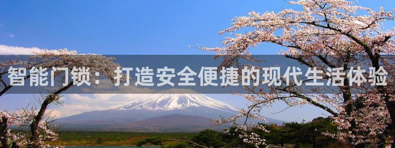 富联2娱乐注册地址在哪：智能门锁：打造安全便捷的现代生活体验