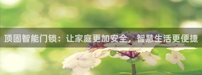 富联娱乐首页登录不上去：顶固智能门锁：让家庭更加安全，智慧生