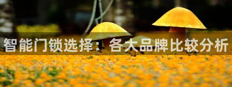 佰富联娱乐团购是正品吗：智能门锁选择：各大品牌比较分析