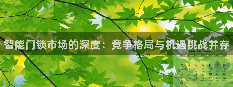 富联娱乐平台登录网址：智能门锁市场的深度：竞争格局与机遇挑战