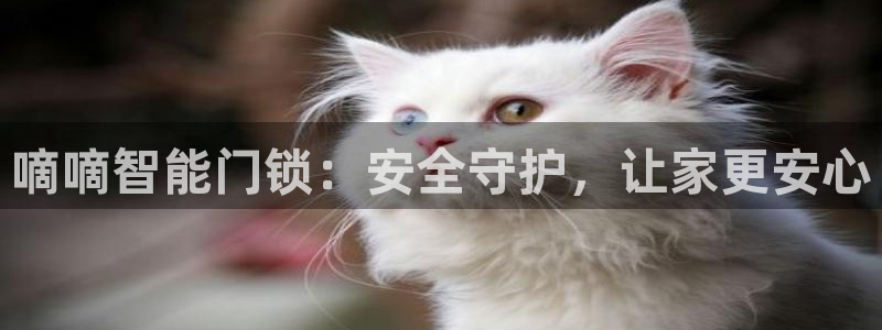 富联娱乐成拔7276O：嘀嘀智能门锁：安全守护，让家更安心