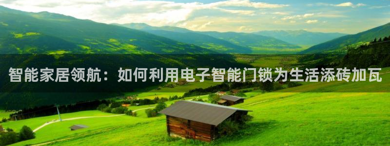 富联娱乐最稳定app：智能家居领航：如何利用电子智能门锁为生