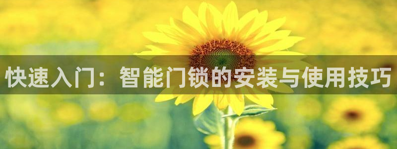 富联娱乐电究7276O：快速入门：智能门锁的安装与使用技巧