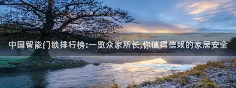 富联娱乐平台官网：中国智能门锁排行榜:一览众家所长,你值得信