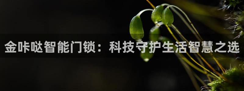 富联娱乐总裁简介资料大全：金咔哒智能门锁：科技守护生活智慧之