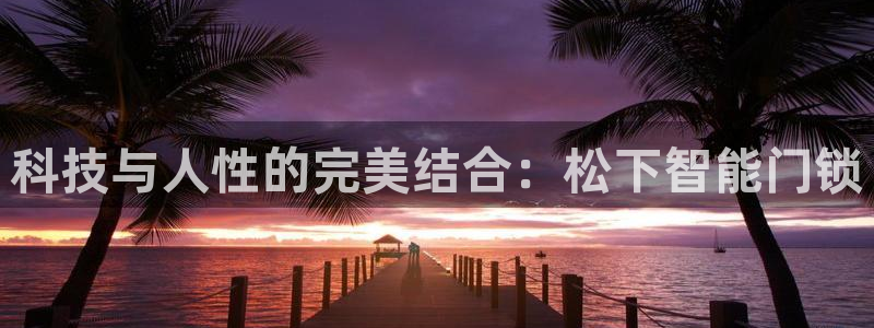 富联娱乐平台招商电话：科技与人性的完美结合：松下智能门锁